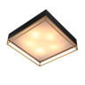 Потолочный светильник ST Luce Chodo SL1127.422.05 - Потолочный светильник ST Luce Chodo SL1127.422.05