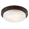 Потолочный светильник Odeon Light Holger 2744/3C - Потолочный светильник Odeon Light Holger 2744/3C