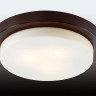 Потолочный светильник Odeon Light Holger 2744/3C - Потолочный светильник Odeon Light Holger 2744/3C