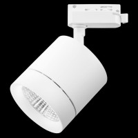  - Трековый светодиодный светильник Lightstar Canno Led 301262