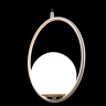 Подвесной светильник Loft IT Glob LOFT2600-B - Подвесной светильник Loft IT Glob LOFT2600-B