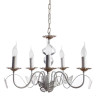 Подвесная люстра Arte Lamp 27 A6114LM-5WG - Подвесная люстра Arte Lamp 27 A6114LM-5WG
