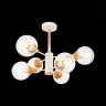 Потолочная люстра Evoluce Lione SLE109502-06 - Потолочная люстра Evoluce Lione SLE109502-06