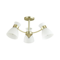  - Потолочная люстра Lumion Wilma 4535/3C