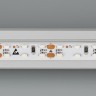Лента RS 2-5000 24V Day4000 2x2 8mm (3014, 240 LED/m, LUX) (Arlight, 14.4 Вт/м, IP20) - Лента RS 2-5000 24V Day4000 2x2 8mm (3014, 240 LED/m, LUX) (Arlight, 14.4 Вт/м, IP20)