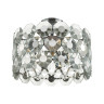 Потолочная люстра Odeon Light Tokata 4973/5C - Потолочная люстра Odeon Light Tokata 4973/5C