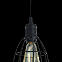  - Подвесной светильник Maytoni Denver T447-PL-01-B