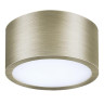 Потолочный светодиодный светильник Lightstar Zolla 213911 - Потолочный светодиодный светильник Lightstar Zolla 213911
