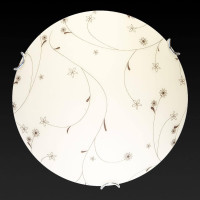  - Настенно-потолочный светодиодный светильник Toplight Karissa TL9651Y-00WH