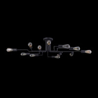  - Потолочная люстра Maytoni Gilbert T532CL-12B