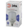 Лампа светодиодная ЭРА E27 30W 6500K матовая LED POWER T100-30W-6500-E27 Б0027004 - Лампа светодиодная ЭРА E27 30W 6500K матовая LED POWER T100-30W-6500-E27 Б0027004