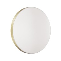  - Настенно-потолочный светодиодный светильник Sonex Smalli 3048/AL