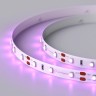 Лента RT 2-5000 12V Pink (3528, 300 LED, LUX) (Arlight, 4.8 Вт/м, IP20) - Лента RT 2-5000 12V Pink (3528, 300 LED, LUX) (Arlight, 4.8 Вт/м, IP20)