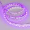 Лента RT 2-5000 12V Pink (3528, 300 LED, LUX) (Arlight, 4.8 Вт/м, IP20) - Лента RT 2-5000 12V Pink (3528, 300 LED, LUX) (Arlight, 4.8 Вт/м, IP20)