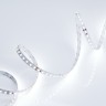 Лента RT 2-5000 24V Cool 8K 2x (3528, 600 LED, LUX) (Arlight, 9.6 Вт/м, IP20) - Лента RT 2-5000 24V Cool 8K 2x (3528, 600 LED, LUX) (Arlight, 9.6 Вт/м, IP20)