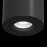 Потолочный светильник Maytoni Alfa C016CL-01B - Потолочный светильник Maytoni Alfa C016CL-01B