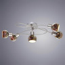 Потолочная люстра Arte Lamp Illusione A6125PL-5SS - Потолочная люстра Arte Lamp Illusione A6125PL-5SS