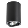 Потолочный светильник Lightstar Rullo 214407 - Потолочный светильник Lightstar Rullo 214407