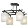 Потолочная люстра Lussole Costanzo LSL-9007-04 - Потолочная люстра Lussole Costanzo LSL-9007-04