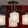 Потолочная люстра Lussole Costanzo LSL-9007-04 - Потолочная люстра Lussole Costanzo LSL-9007-04