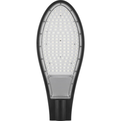 Уличный светодиодный консольный светильник Feron SP2925 32217 
