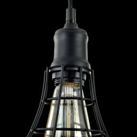  - Подвесной светильник Maytoni Denver T449-PL-01-B