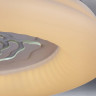Потолочный светодиодный светильник Escada 10284/S LED - Потолочный светодиодный светильник Escada 10284/S LED