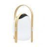 Настольная лампа iLedex Giggle OVS1100-CH WH - Настольная лампа iLedex Giggle OVS1100-CH WH