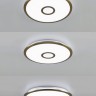 Потолочный светодиодный светильник Citilux Старлайт Смарт CL703A43G - Потолочный светодиодный светильник Citilux Старлайт Смарт CL703A43G