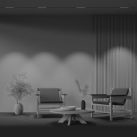  - Трековый светильник Technical TR031-2-12W3K-B