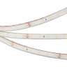 Лента герметичная RTW-PFS-A60-11mm 24V Day4000 (4.8 W/m, IP68, 2835, 5m) (Arlight, -) - Лента герметичная RTW-PFS-A60-11mm 24V Day4000 (4.8 W/m, IP68, 2835, 5m) (Arlight, -)