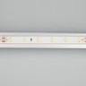 Лента герметичная RTW-PFS-A60-11mm 24V Day4000 (4.8 W/m, IP68, 2835, 5m) (Arlight, -) - Лента герметичная RTW-PFS-A60-11mm 24V Day4000 (4.8 W/m, IP68, 2835, 5m) (Arlight, -)