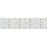 Лента S2-2500 24V Warm 3000K 52mm (2835, 420 LED/m, LUX) (Arlight, 30 Вт/м, IP20) - Лента S2-2500 24V Warm 3000K 52mm (2835, 420 LED/m, LUX) (Arlight, 30 Вт/м, IP20)