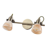  - Спот Arte Lamp A9581AP-2AB
