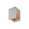Потолочный светодиодный светильник Loft IT Architect OL1073-GG - Потолочный светодиодный светильник Loft IT Architect OL1073-GG