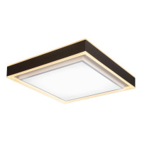  - Потолочный светодиодный светильник iLedex Summery B6233-117W/520*520 WH