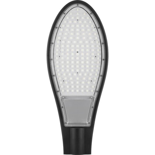 Уличный светодиодный консольный светильник Feron SP2926 32218 
