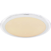 Потолочный светодиодный светильник Globo Nicole Ii 48395-30