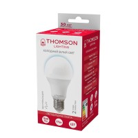  - Лампа светодиодная Thomson E27 17W 6500K груша матовая TH-B2306