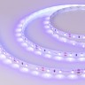Лента RT 2-5000 12V UV400 (3528, 300 LED, W) (Arlight, 4.8 Вт/м, IP20) - Лента RT 2-5000 12V UV400 (3528, 300 LED, W) (Arlight, 4.8 Вт/м, IP20)