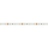 Лента RT 2-5000 12V UV400 (3528, 300 LED, W) (Arlight, 4.8 Вт/м, IP20) - Лента RT 2-5000 12V UV400 (3528, 300 LED, W) (Arlight, 4.8 Вт/м, IP20)