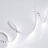 Лента RT 2-5000 24V White6000 2x (3528, 600 LED, LUX) (Arlight, 9.6 Вт/м, IP20) - Лента RT 2-5000 24V White6000 2x (3528, 600 LED, LUX) (Arlight, 9.6 Вт/м, IP20)