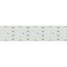 Лента S2-2500 24V Warm 2700K 52mm (2835, 420 LED/m, LUX) (Arlight, 30 Вт/м, IP20) - Лента S2-2500 24V Warm 2700K 52mm (2835, 420 LED/m, LUX) (Arlight, 30 Вт/м, IP20)