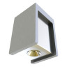 Потолочный светодиодный светильник Loft IT Architect OL1073-GH - Потолочный светодиодный светильник Loft IT Architect OL1073-GH