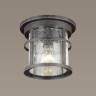 Уличный светильник Odeon Light Virta 4044/1C - Уличный светильник Odeon Light Virta 4044/1C