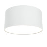 Потолочный светодиодный светильник Maytoni Technical Zon C032CL-L12W3K - Потолочный светодиодный светильник Maytoni Technical Zon C032CL-L12W3K