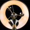 Торшер Arte Lamp Alice A3579PN-3AB - Торшер Arte Lamp Alice A3579PN-3AB