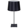 Настольная лампа Lussole Lgo LSP-0519 - Настольная лампа Lussole Lgo LSP-0519