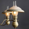Подвесная люстра Arte Lamp Capanna A4533LM-5WG - Подвесная люстра Arte Lamp Capanna A4533LM-5WG