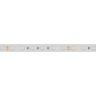 Лента герметичная RTW-PFS-B60-13mm 24V Blue (14.4 W/m, IP68, 5060, 5m) (Arlight, 14.4 Вт/м, IP68) - Лента герметичная RTW-PFS-B60-13mm 24V Blue (14.4 W/m, IP68, 5060, 5m) (Arlight, 14.4 Вт/м, IP68)